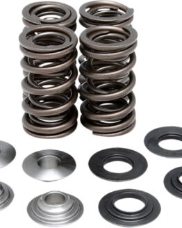 Racing Valve Spring Kit