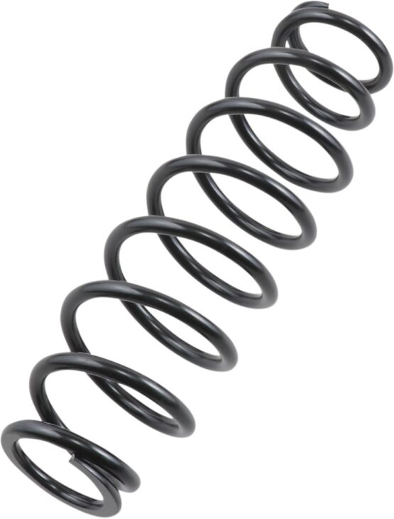 EPI Rear Heavy-Duty Suspension Spring WE325117
