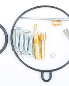 Carburetor Repair Kit