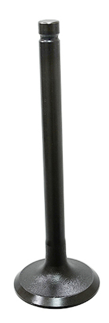 974b-5cf174ac4eea3.jpg