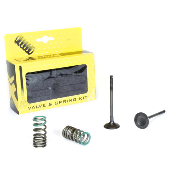 Steel Exhaust Valve/Spring Kit