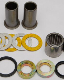 Swing Arm Bearing Kit