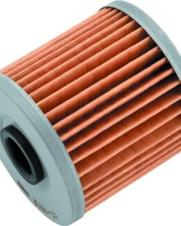 BikeMaster BM-123 Oil Filter - Fits Kawasaki