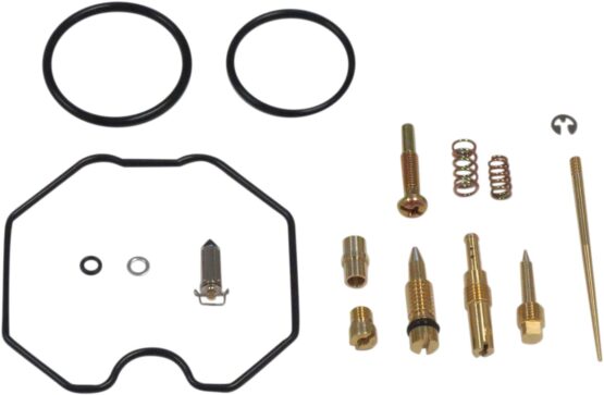 Carburetor Repair Kit