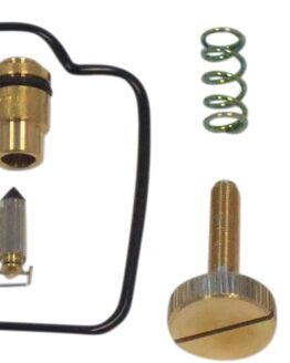 Carburetor Repair Kit