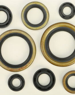 Vertex Engine Oil Seal Kit 822274