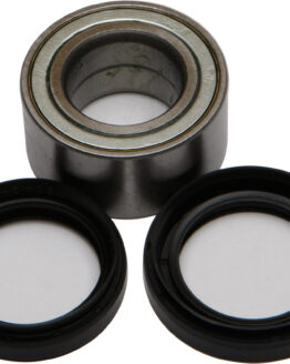 Wheel Bearing & Seal Kit