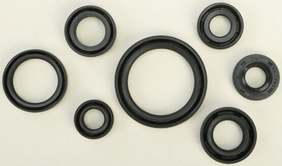 Vertex Oil Seal Kit Fits DRZ400 E/S/SM & KLX400
