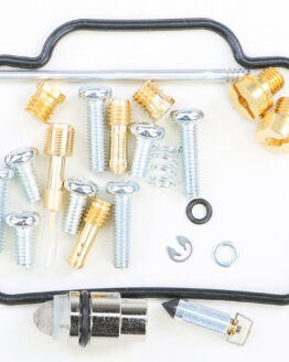 Carburetor Repair Kit