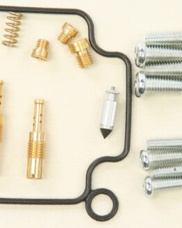 Carburetor Repair Kit