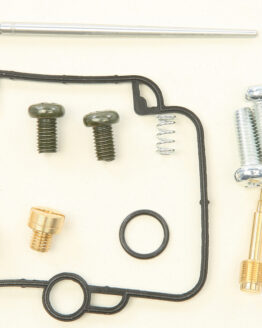 Carburetor Repair Kit