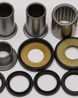 Swing Arm Bearing Kit