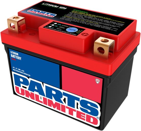 LiFePO4 Lithium-Ion Battery, 150 CA