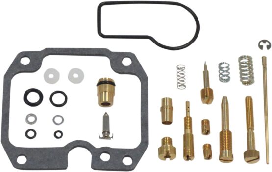 Carburetor Repair Kit