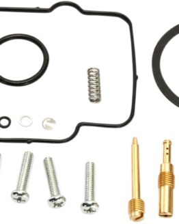 Carburetor Repair Kit