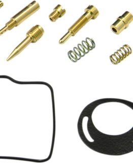 Carburetor Repair Kit