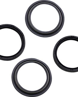 Fork Seal/Wiper Kit 48mm