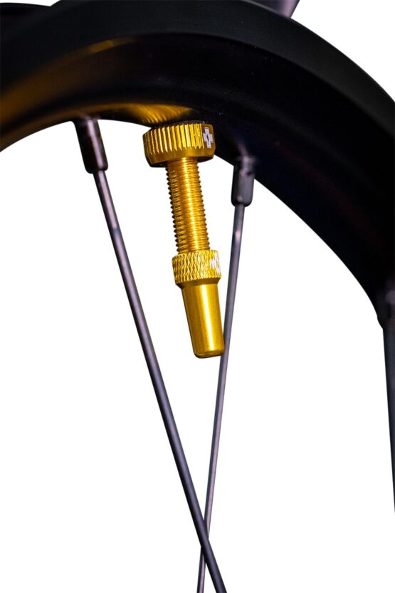 Tubeless Valve