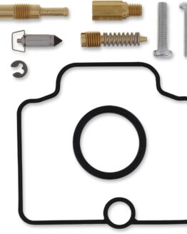 Carburetor Repair Kit