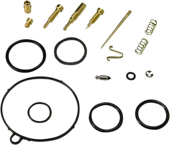 Carburetor Repair Kit