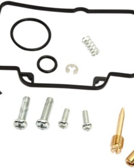 Carburetor Repair Kit