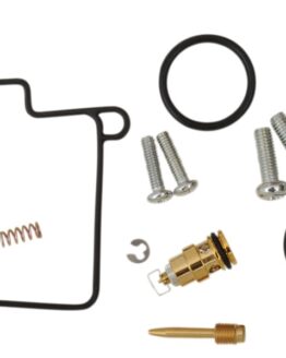 Carburetor Repair Kit