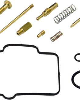 Carburetor Repair Kit