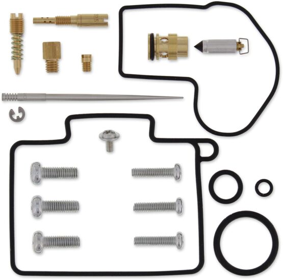 Carburetor Repair Kit