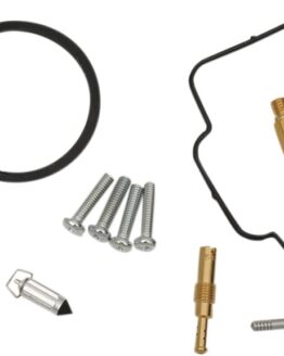 Carburetor Repair Kit