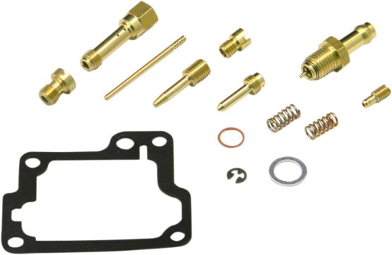 Carburetor Repair Kit