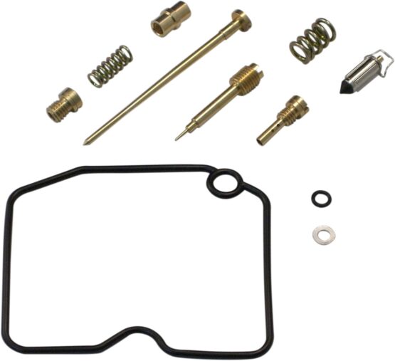 Carburetor Repair Kit