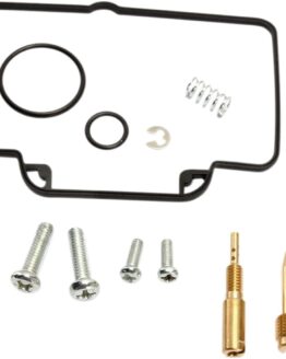 Carburetor Repair Kit