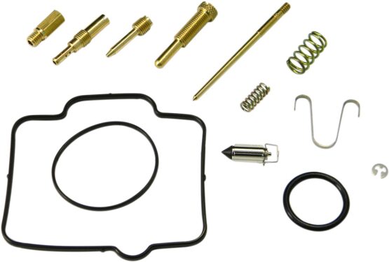 Carburetor Repair Kit