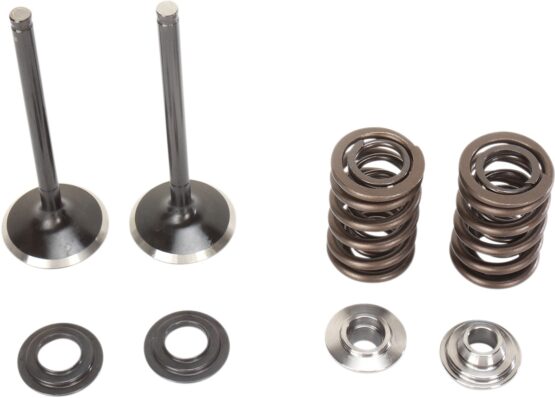 Stainless Exhaust Valve and Spring Kit
