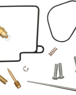 Carburetor Repair Kit