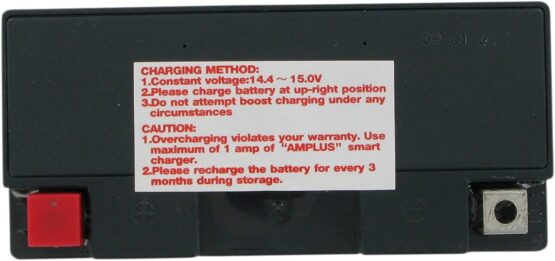 AGM Maintenance Free Battery 180CCA 12V 12Ah Factory Activated - Image 2