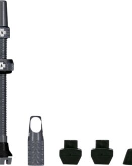 Tubeless Valve