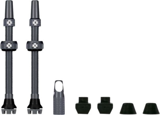 Tubeless Valve