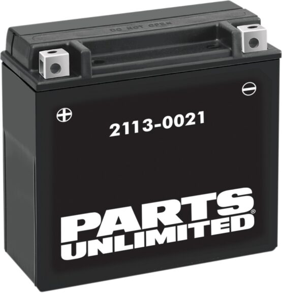 AGM Maintenance Free Battery 310CCA 12V 18Ah