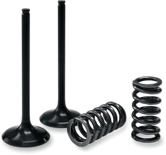 Steel Intake Valve/Spring Kit - Image 2