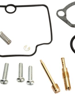 Carburetor Repair Kit