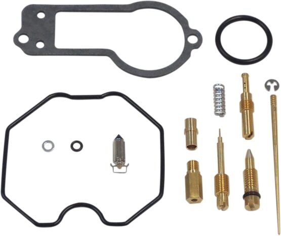 Carburetor Repair Kit