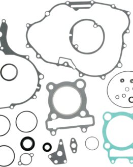 Complete Gasket Kit w/Oil Seals