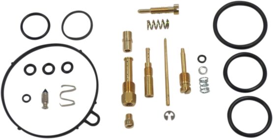 Carburetor Repair Kit