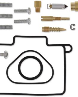 Carburetor Repair Kit