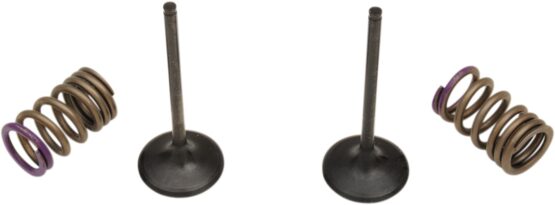 Steel Intake Valve/Spring Kit - Image 2