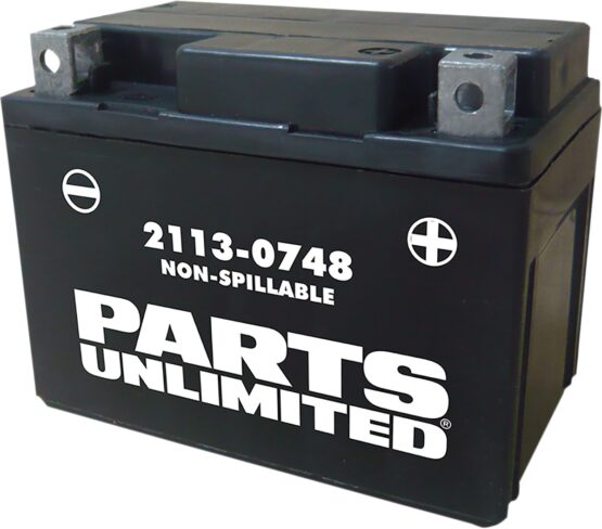 AGM Maintenance Free Battery 50CCA 12V 3Ah Factory Activated