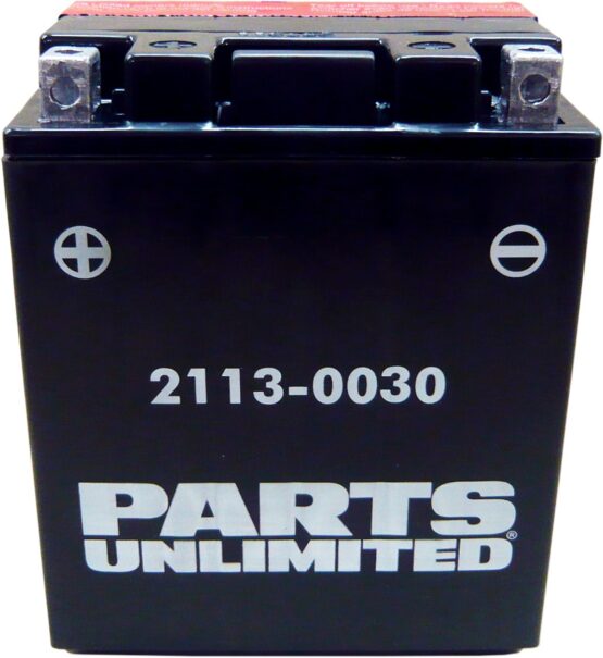 AGM Maintenance Free Battery 210CCA 12V 12Ah - Image 2