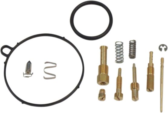 Carburetor Repair Kit