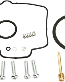 Carburetor Repair Kit